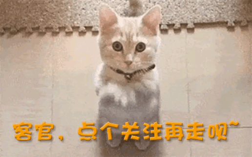 开云体育下载APP-超额完成1400亿新融资！英伟达抢着输血，马斯克的xAI估值1.6万亿